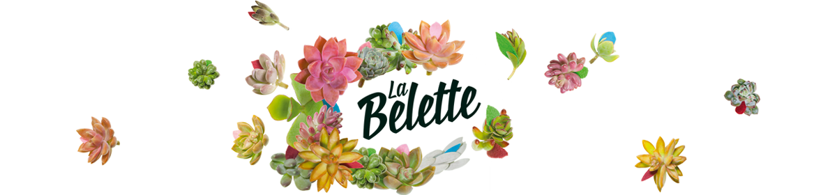 Le blog de la belette